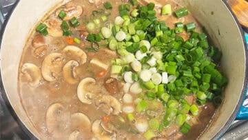 Scallions stirred into soup.