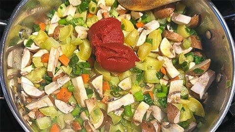 Mushrooms and tomato paste added to pot.
