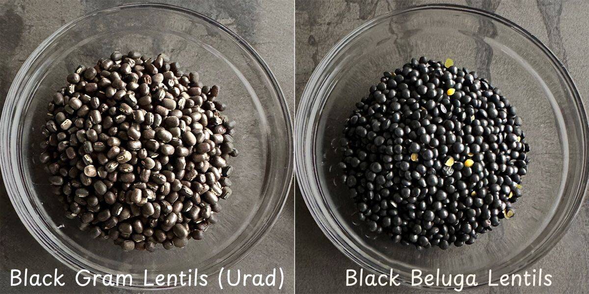 Photos of black gram lentils or urad and black beluga lentils side by side.