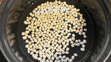 Chickpeas in crockpot.