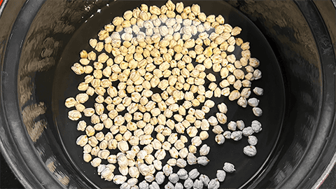 Chickpeas in crockpot.