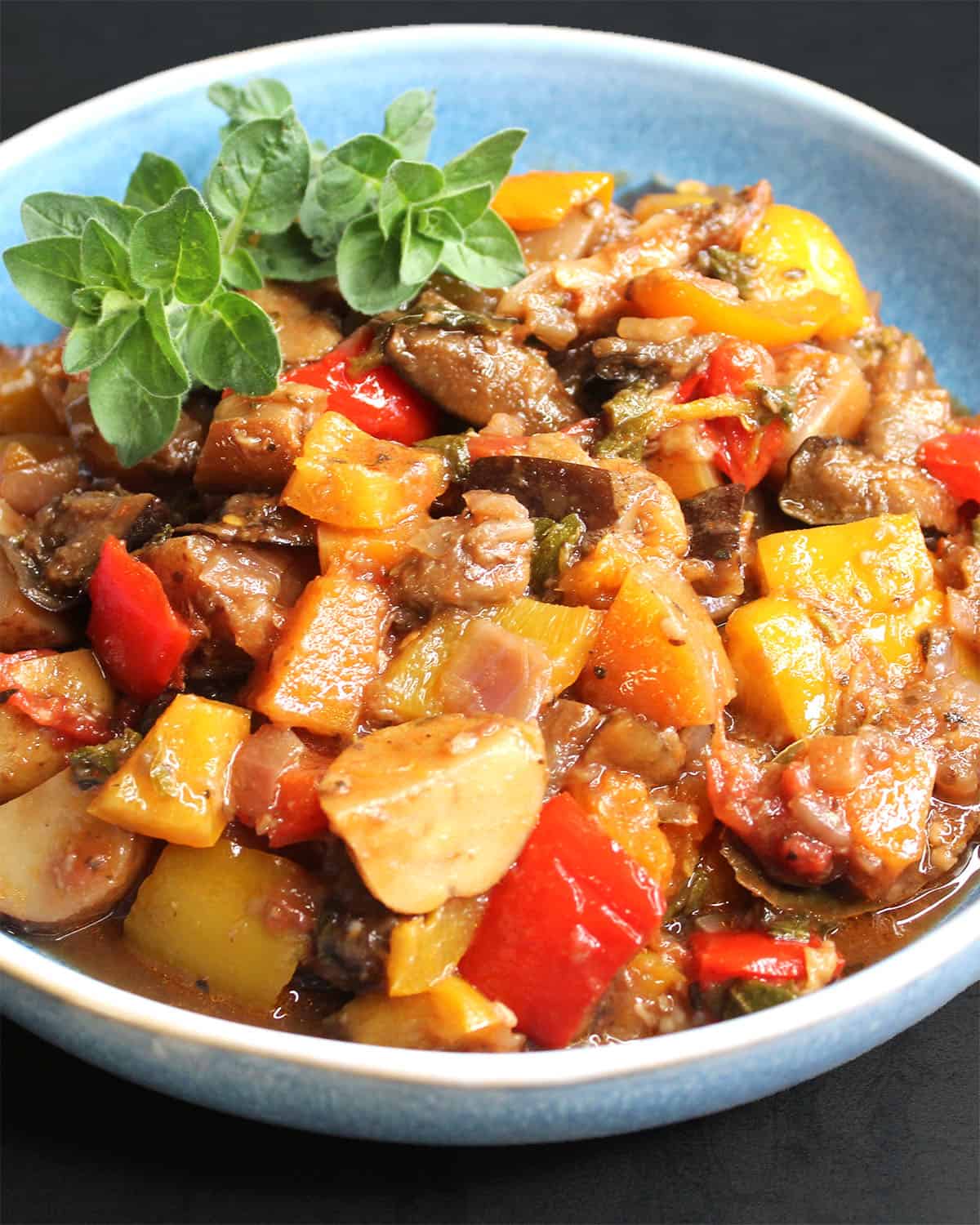 Front close-up view of soufiko.