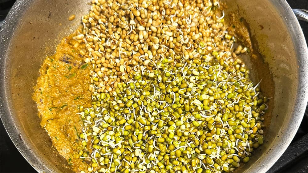 Sprouted mung beans and moth beans added to masala in pan.
