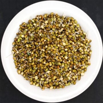 Top down view of sprouted mung beans in white bowl.