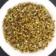 Sprouted mung beans in bowl.