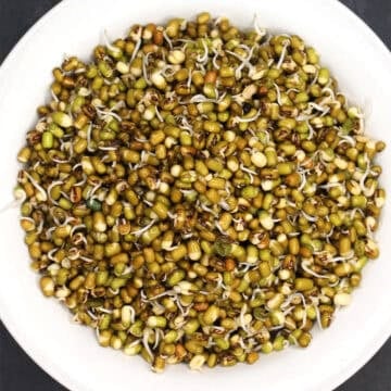 Sprouted mung beans in bowl.