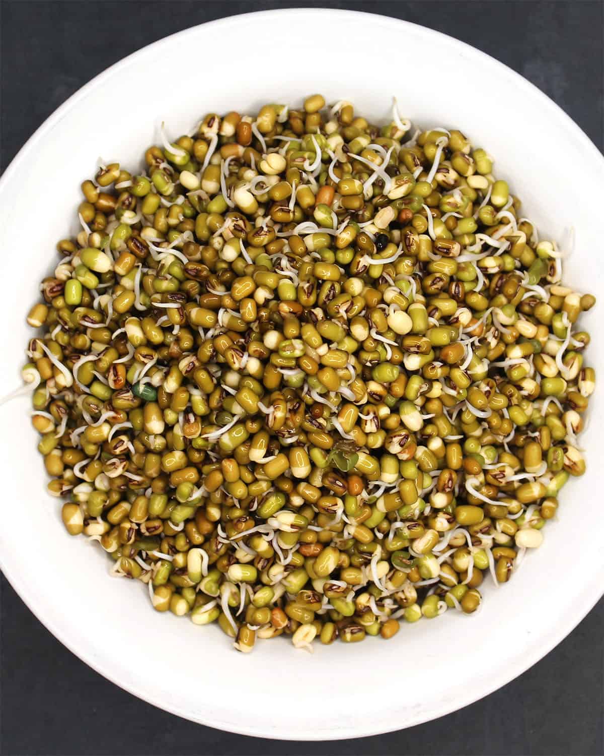 Sprouted mung beans in bowl.
