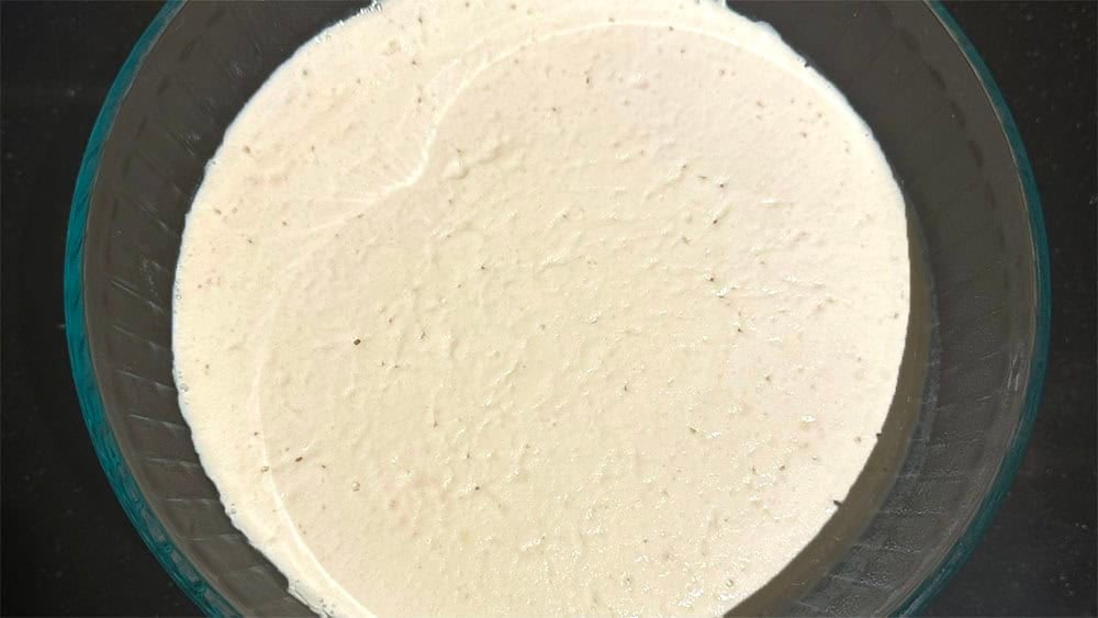 Fermented uttapam batter in bowl.