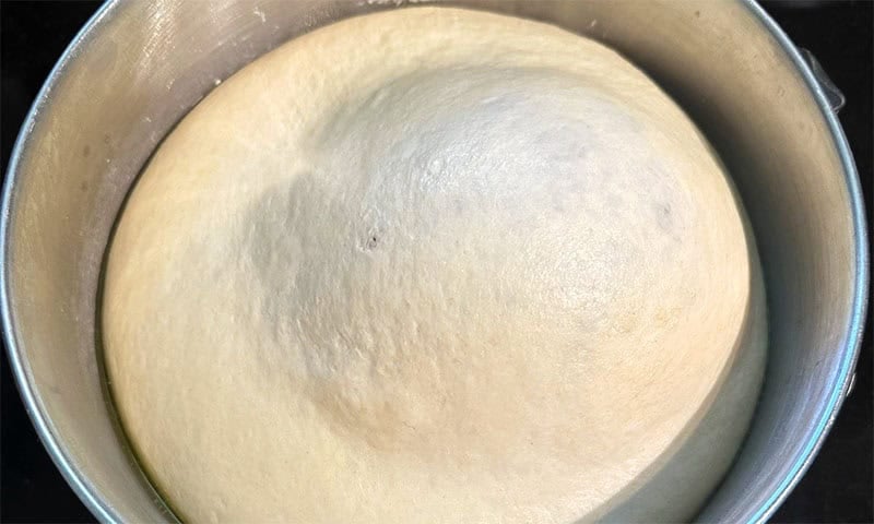 Dough after first proofing in bowl.