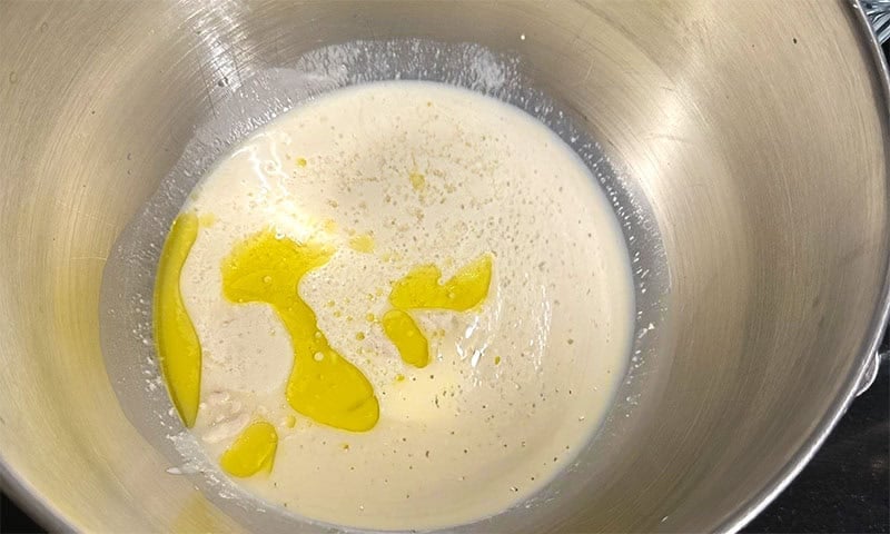 Sourdough discard, yeast, olive oil and sugar mixed in bowl.